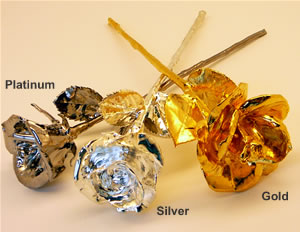 Platinum Roses - Gold Roses - Silver Roses