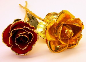 Gold Roses and Lacquer Color Gold Trimmed Rose